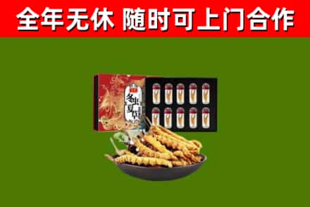 通山县回收冬虫夏草价格